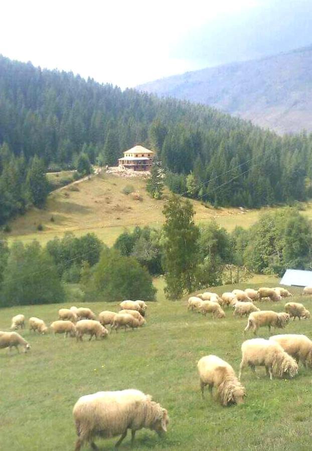 Вилла Isov Ranch Плав Экстерьер фото