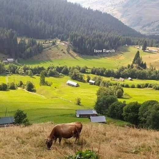 Вилла Isov Ranch Плав Экстерьер фото