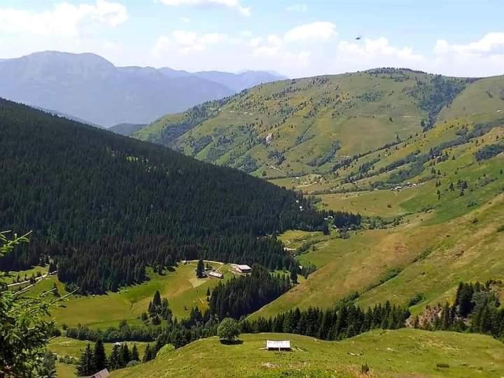 Вилла Isov Ranch Плав Экстерьер фото