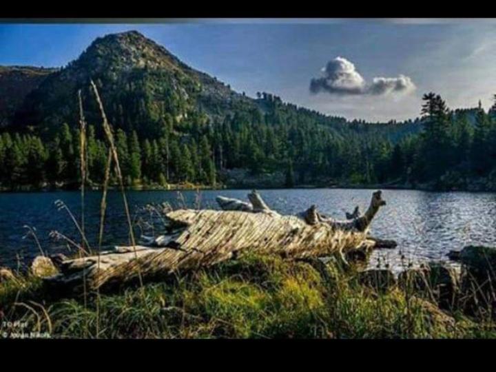 Вилла Isov Ranch Плав Экстерьер фото