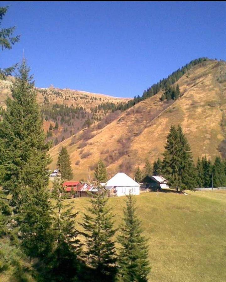 Вилла Isov Ranch Плав Экстерьер фото
